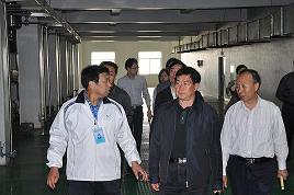 河北省委常委、副省長楊崇勇到我公司視察